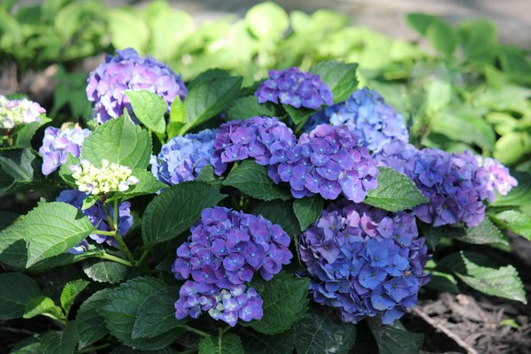 Solutions écologiques et performantes pour la climatisation à montpellier