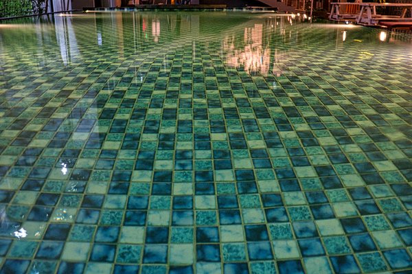 Transformez Votre Espace : Guide Pratique pour Relier Vos Plantes d'Intérieur du Salon à Votre Balcon